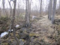 23. Slettomsgruva2014.JPG