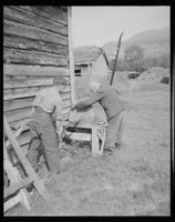 Ljåsliping. Foto: ukjent / Nasjonalbibliotekets bildesamling (1950).