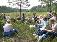 Rast med Kåterudmåsan i bakgrunnen.