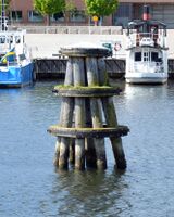 En sliten svensk duc d'Albe.