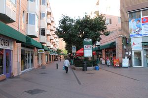 Smalgangen i Oslo 2013.JPG