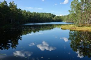 Smalvann Østmarka.jpg