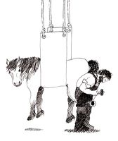 Smeden i Gisledal hadde sin egen løsning for urolige hester.