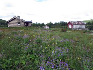 Smettbakstølen Ustaoset.jpg