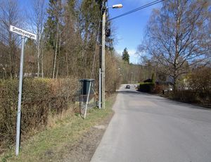 Smithsvingen Oslo 2015.jpg