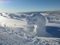 35. Snørvillen 2014.JPG