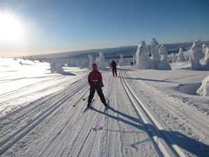 Snørvillen 2014 2.JPG