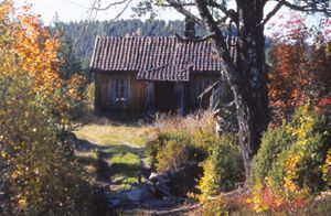 Snekkerplassen (foto Olav Homlebekk).jpeg