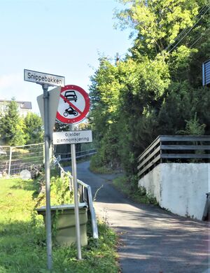 Snippebakken Bærum 2020.JPG