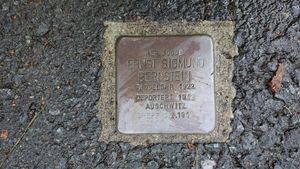 Snublestein Bernstein Geitmyrsveien.JPG