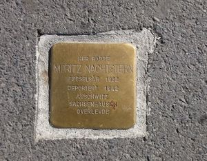 Snublestein Moritz Nachtstern.jpg