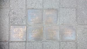 Snublesteiner Markus Elverum.JPG