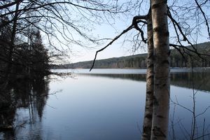 Sognsvann 1.JPG