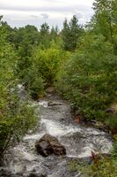 Parti fra Sognsvannsbekken nord for Rikshospitalet. Foto: Leif-Harald Ruud (2010)
