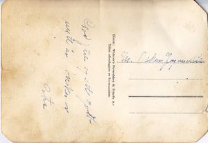 Solbjør julekort.jpg