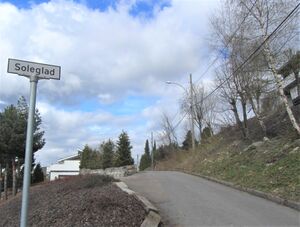 Soleglad (Oslo) 2012.jpg