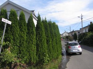 Sophus Aars’ vei Oslo 2013.jpg