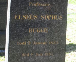 Sophus Bugge gravminne.jpg