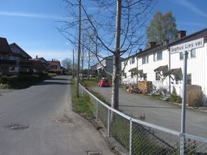 Sophus Lies vei Kongsberg 2014.jpg