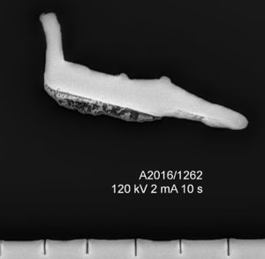 Spennefragment fra folkevandringstid, Skarra (C62775).jpg