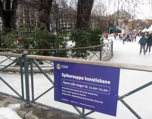 Spikersuppa kunstisbane 2012.jpg