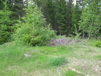 Tuftene etter Spitplassen i 2009.