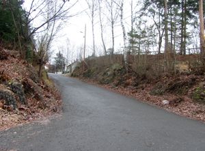 Sponhoggbakken Oslo 2014.jpg