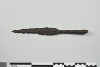 Spydspiss fra vikingtida, registrert i 2020.
