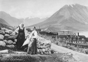 Stamstadgardane ca 1880 Lindahl NB.jpeg