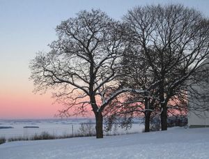 Starum Østre Toten februar 2013.jpg