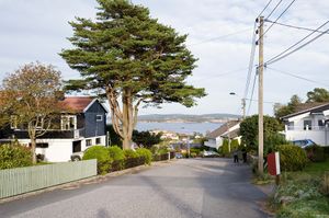 Stavern, Herman Wildenveys gate-1.jpg