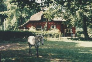 Steenwijkerland Van Karnebeeklaan 5 Eesveen.jpg