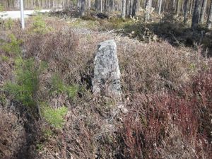 Stein 2 a Molandsmoen.jpg