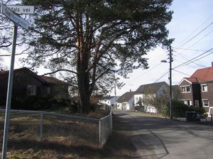 Steinborgveien Oslo 2014.jpg