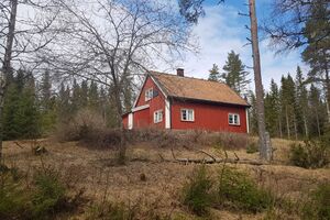 Steinbråten under Lier Kongsvinger 2021.jpg