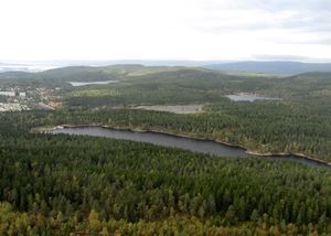 Steinbruvannet og Lillomarka Oslo 2014.jpg