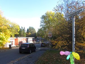 Steinspranget Oslo 2013.jpg