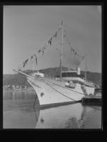 3. Stella Polaris - no-nb digifoto 20150116 00012 NB MIT FNR 21489 C.jpg