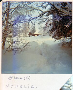 Stensli-sett-fra-skogen-vinter-1976.jpg