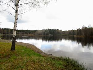 Stensrudtjern Oslo 2015.jpg