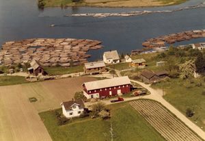 Stevning utenfor Vestfossen - WF090.jpg