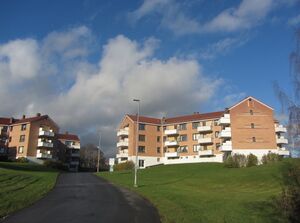 Stjerneblokkene ved Grorud stasjon 2011.jpg