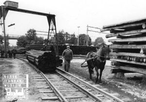 Stolpetransport med hest.jpg