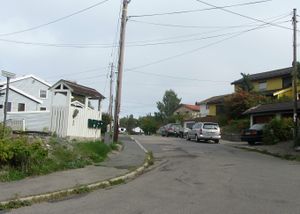 Stordamsnaret Oslo 2014.jpg