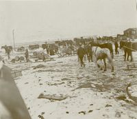 12. Storfjord, Skibotn, Troms - Riksantikvaren-T441 01 0151.jpg