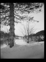 197. Storfjorden ved Skodje - no-nb digifoto 20150205 00134 NB MIT FNR 15785.jpg