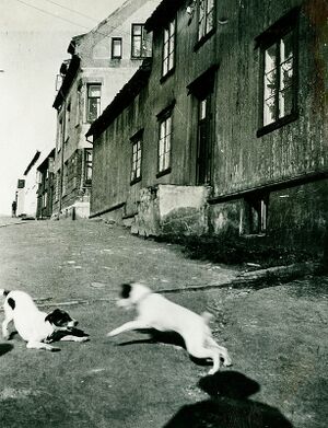 Storgata 99 ThHøegh.jpg