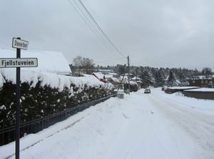 Stovnerfaret Oslo 2014.jpg