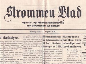 Strømmen Blad Hode.jpg