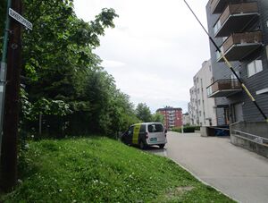 Sukkertoppveien Oslo 2015.jpg